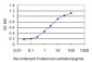 ZW10 Antibody (monoclonal) (M05)
